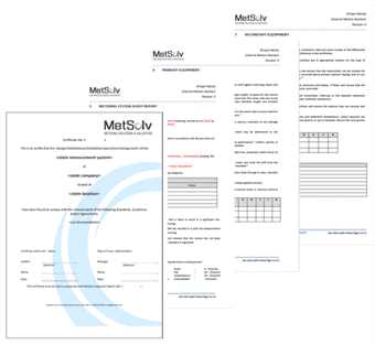 Audit Report