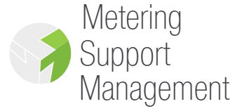 MSM Logo